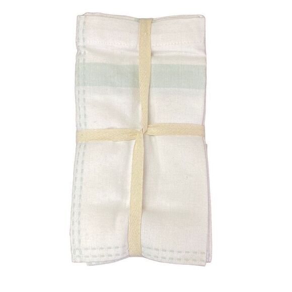 NWT Linden Street Ainsley Plaid White and Green Set of 4 Napkins 100% Cotton 20x - Picture 3 of 3